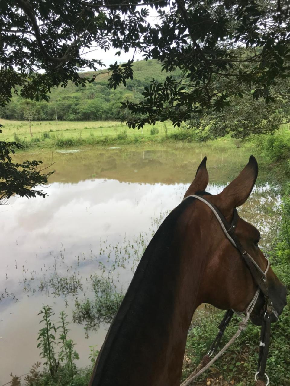 Fazenda Quinta Da Esperanca- Pousada E Lazer Tiradentes Eksteriør billede