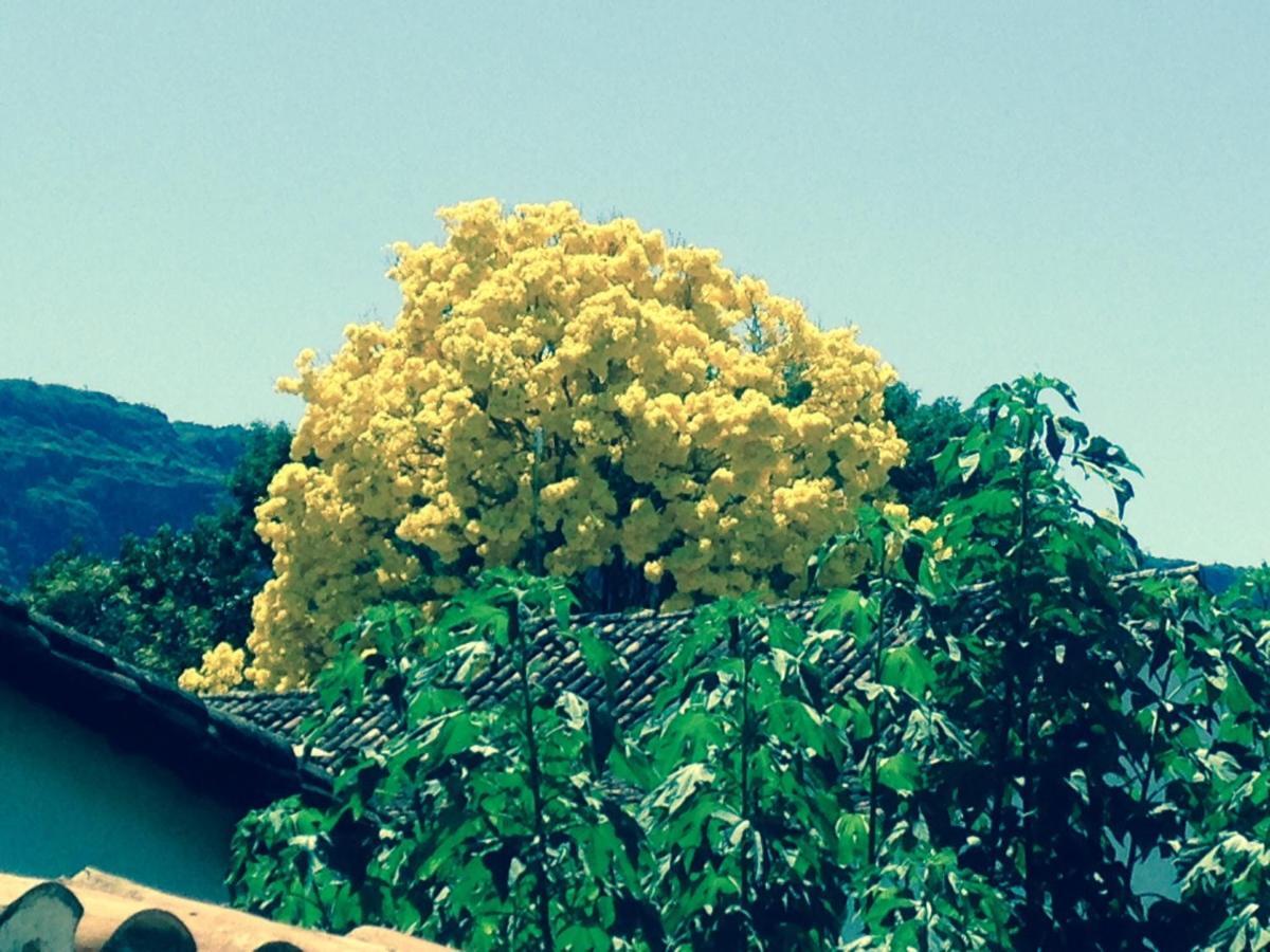 Fazenda Quinta Da Esperanca- Pousada E Lazer Tiradentes Eksteriør billede